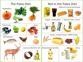 Paleo Desserts | What’s the Paleo Diet?