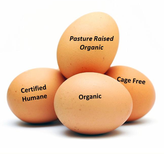 paleo-desserts-why-i-eat-pastured-organic-eggs