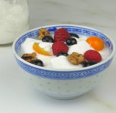 Coconut-Yogurt